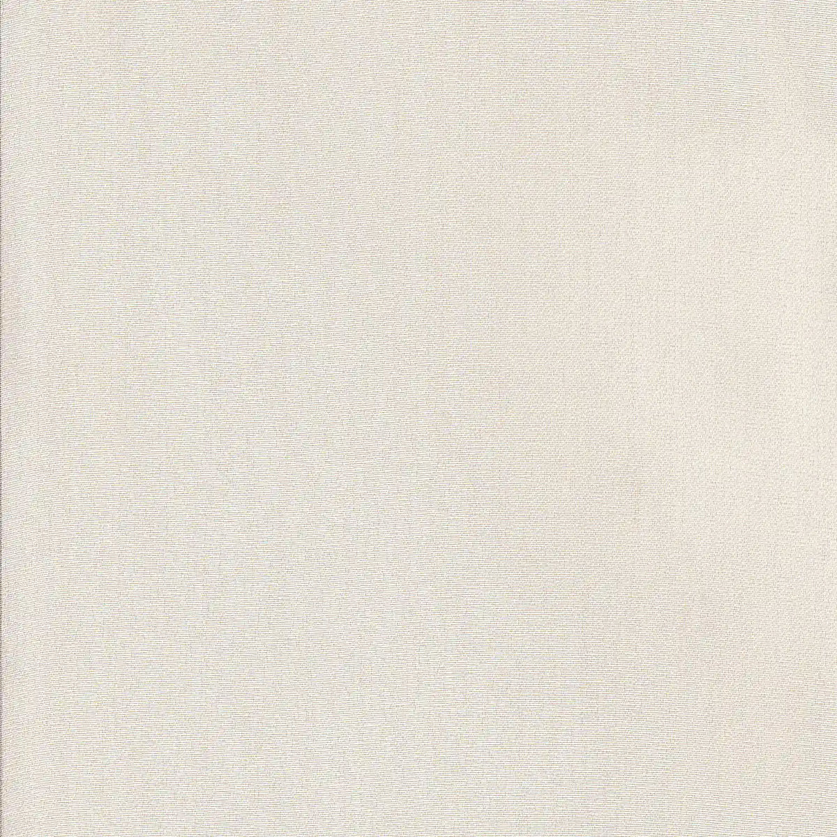 77554-019