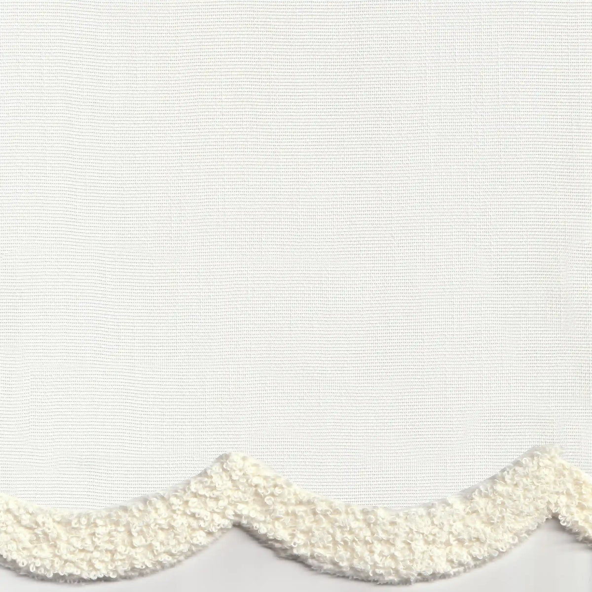 begonya-001