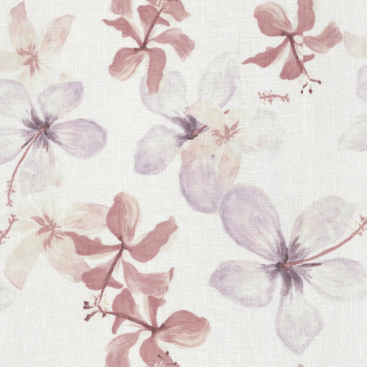 violette-002